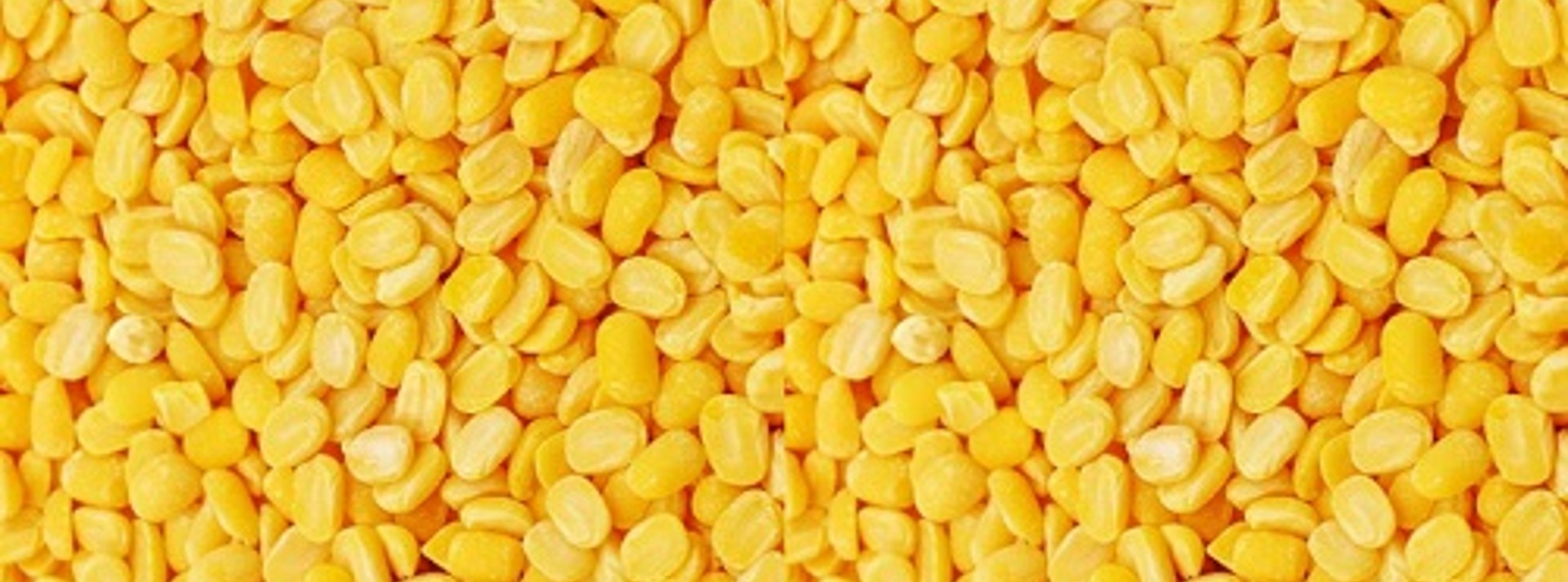 service-details-image